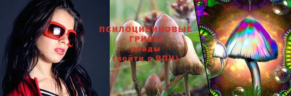 МДПВ Алексин