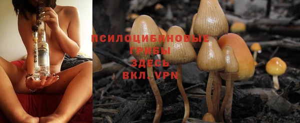 МДПВ Алексин