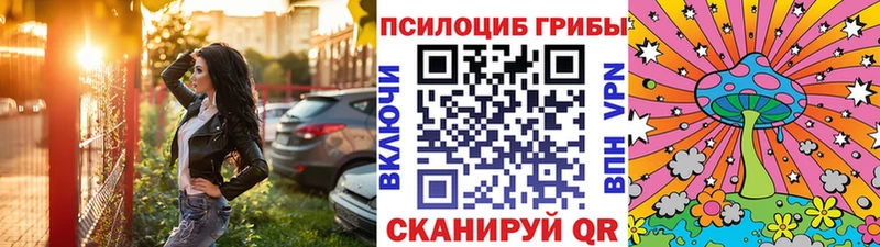 мега маркетплейс  Кашин  Галлюциногенные грибы прущие грибы 